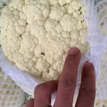 保证质量