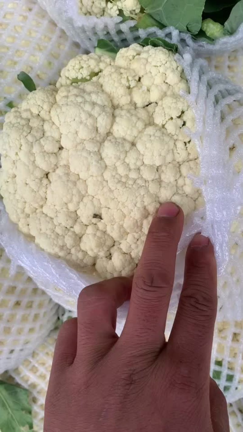 保证质量
