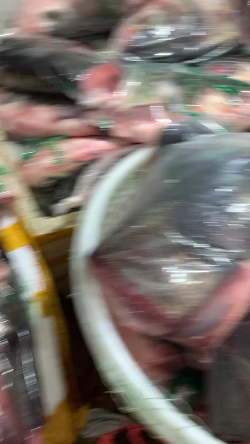 千岛湖有机鱼头