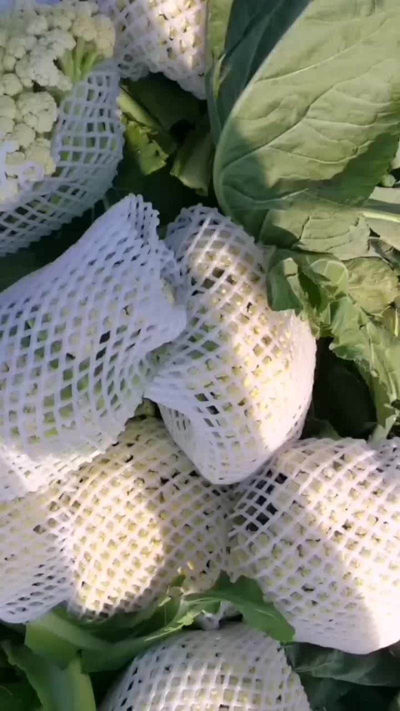 优质菜花