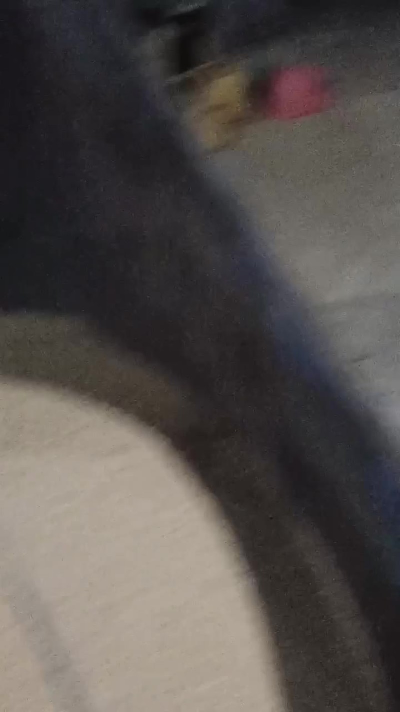 稻谷