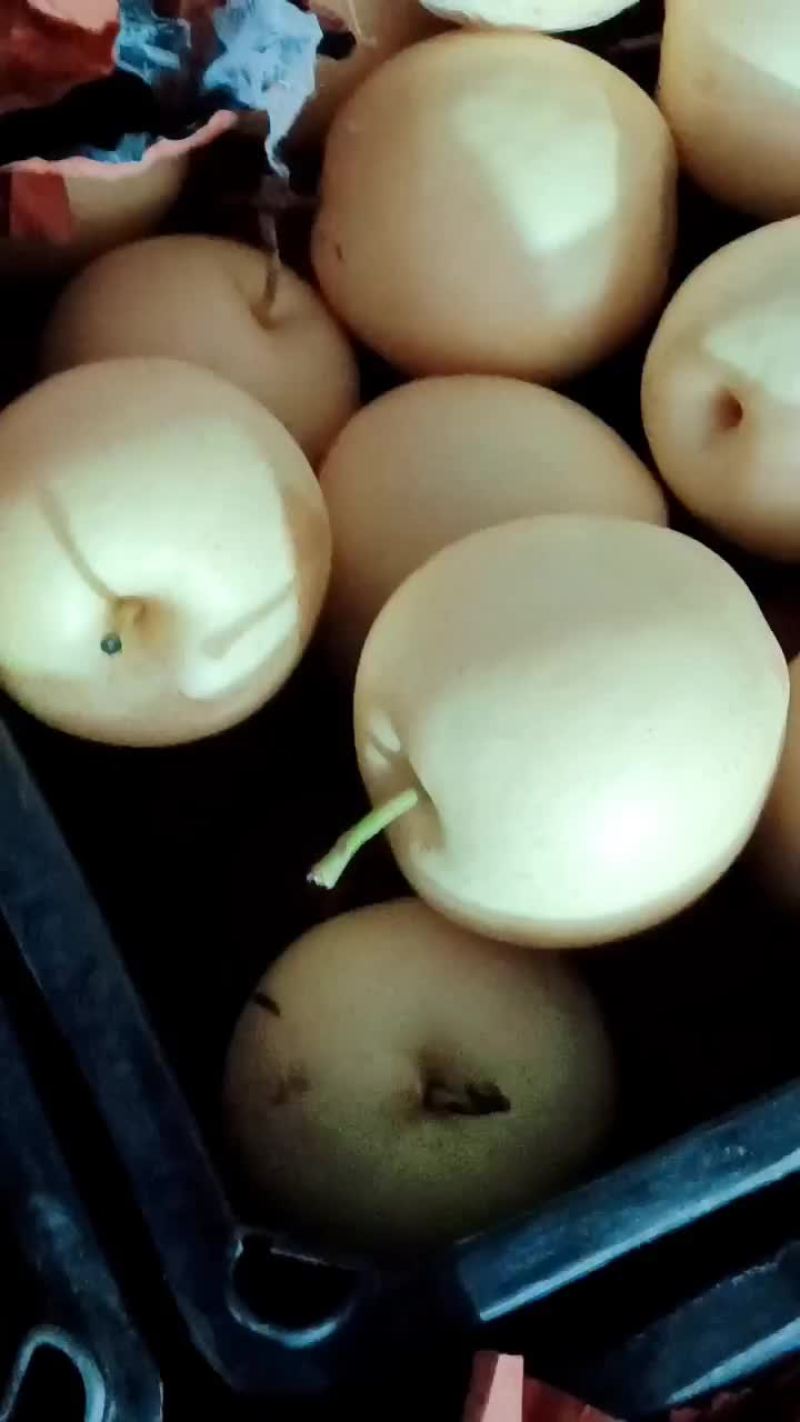 精品皇冠梨