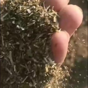 大量供应花生秧叶粉