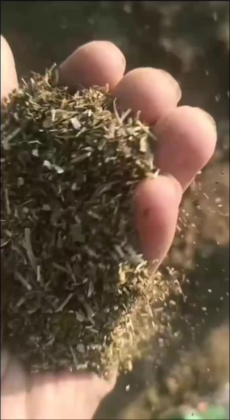 大量供应花生秧叶粉