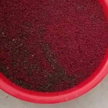 红虫