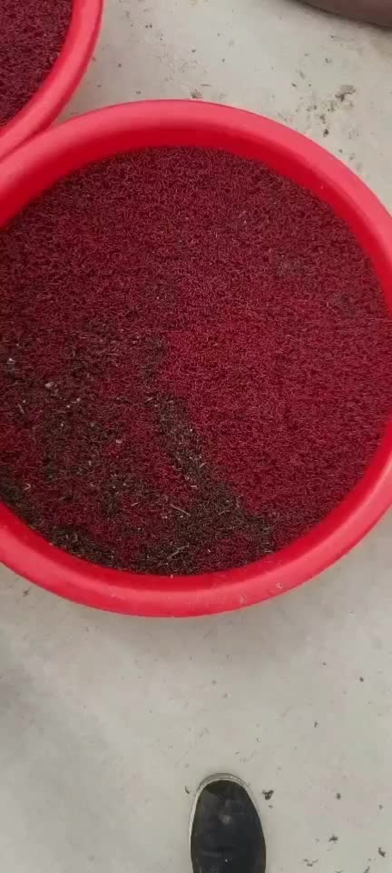 红虫