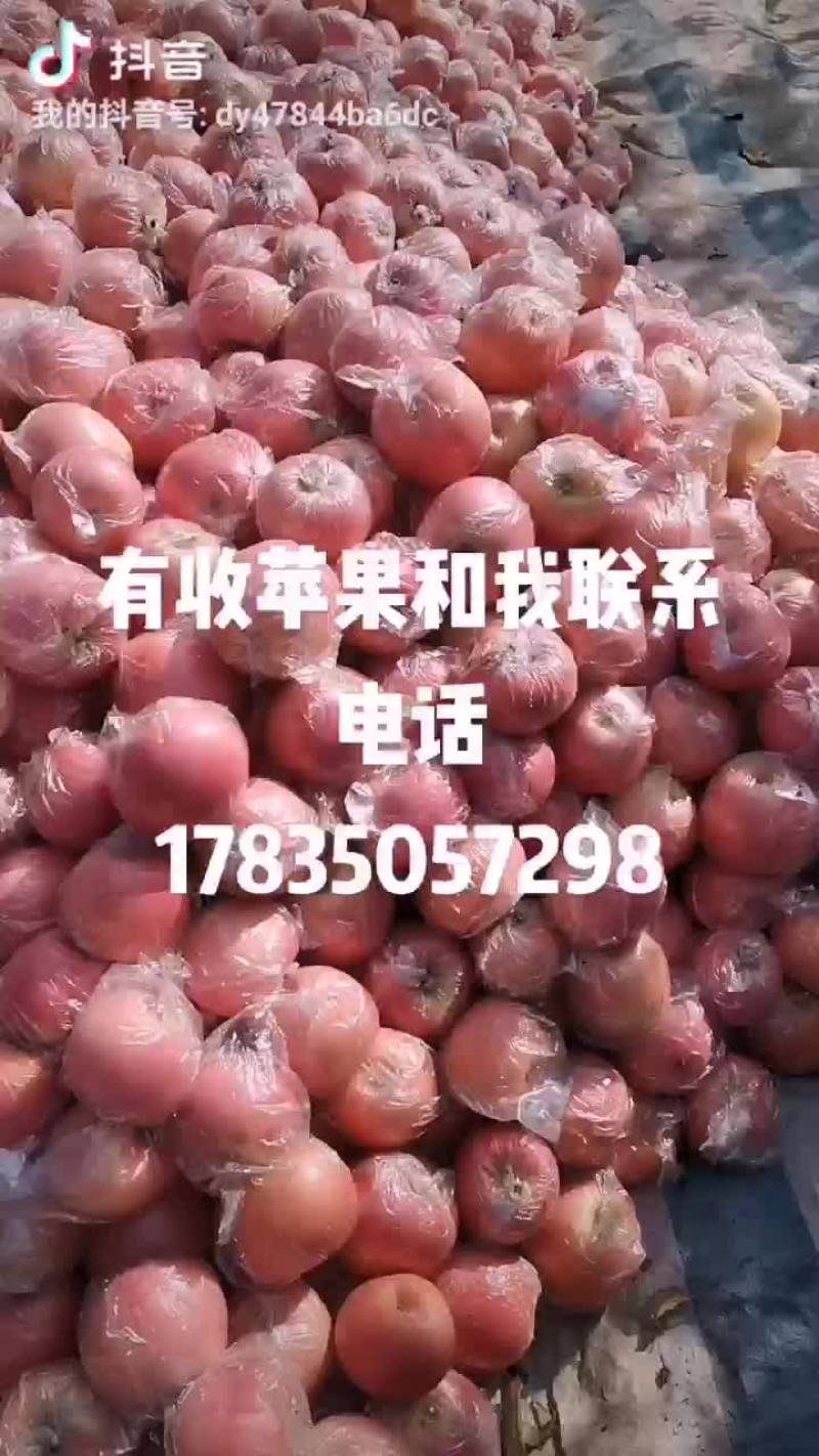 苹果