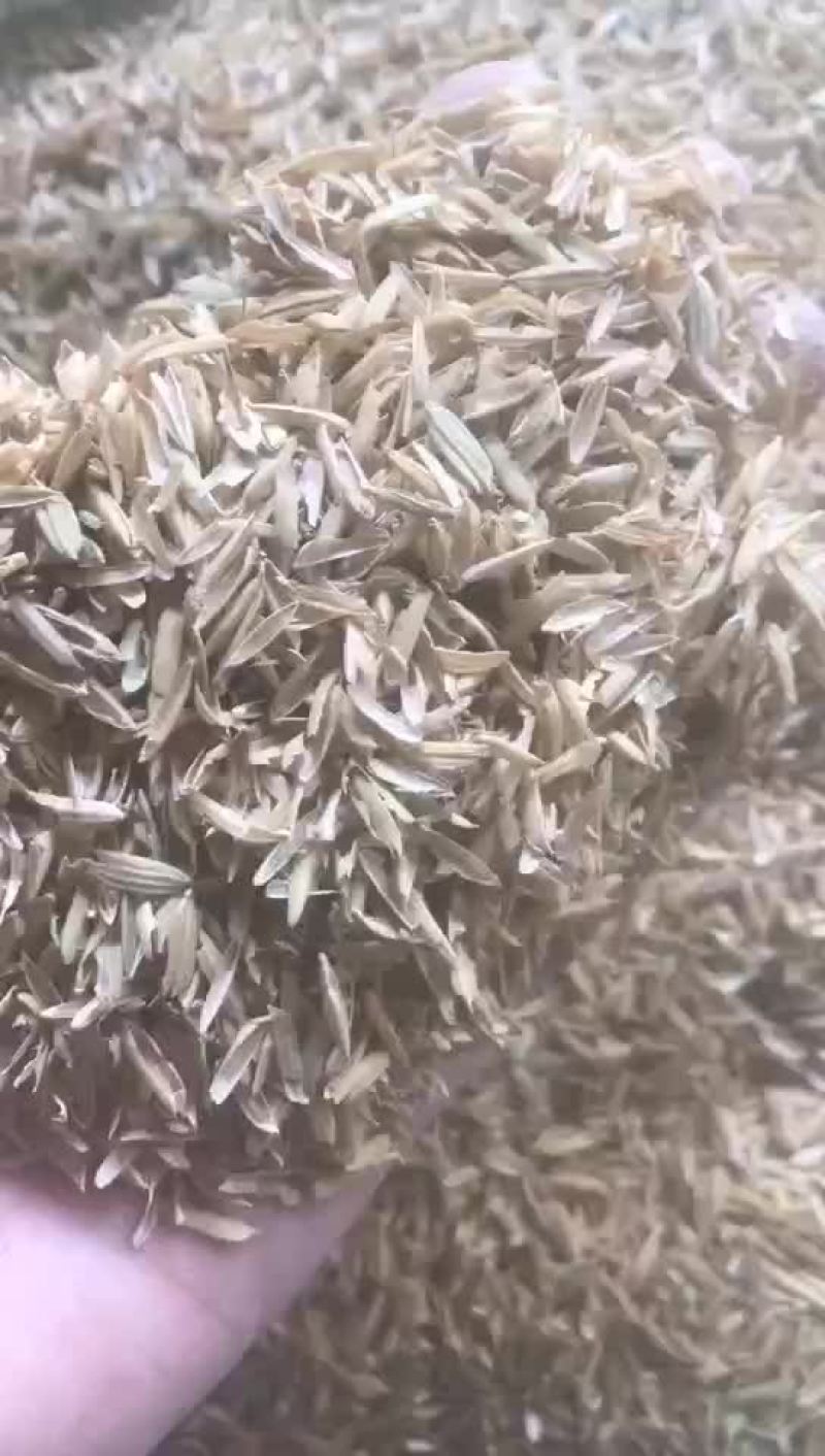 压缩稻壳打包稻壳养殖垫料生物燃料