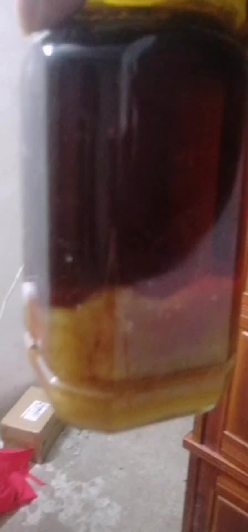 蜂蛹