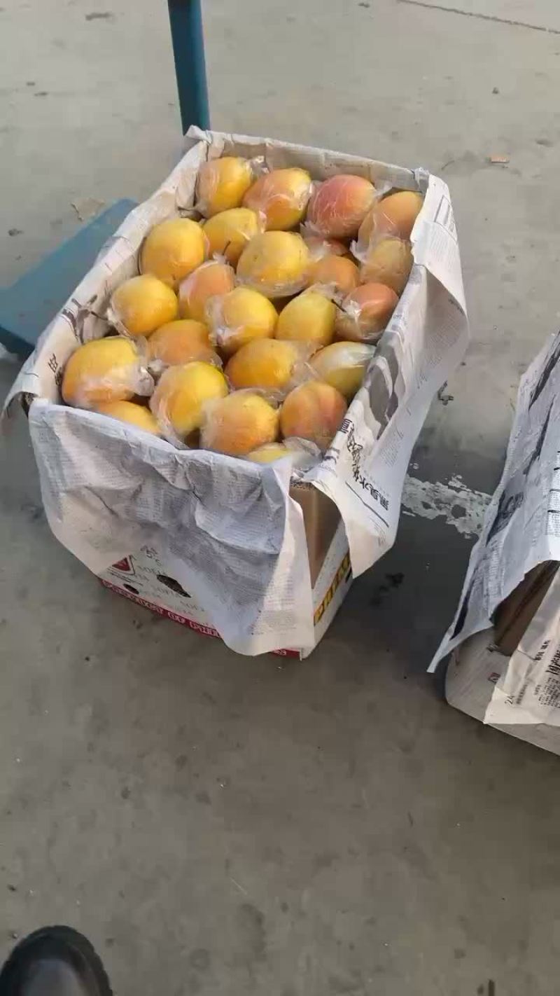 红香酥