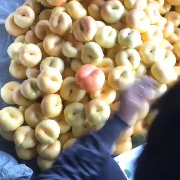 桃