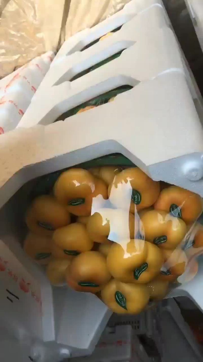 桃