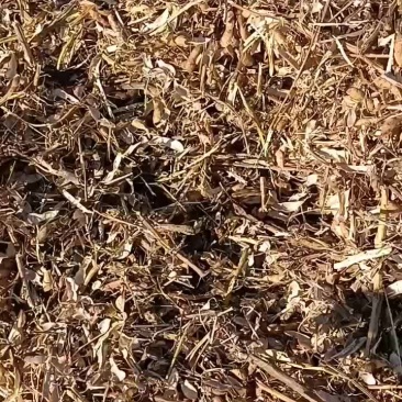 黄豆秸秆饲料