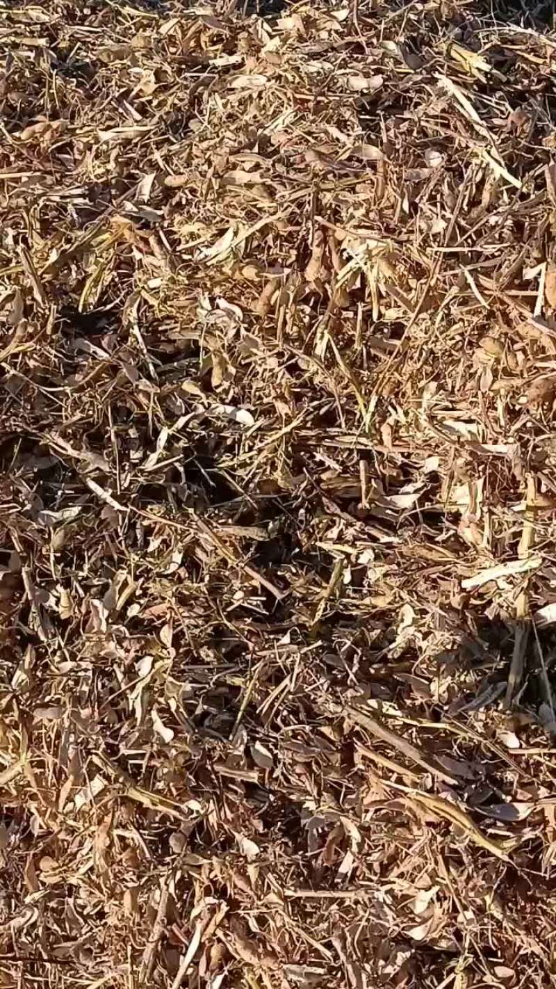 黄豆秸秆饲料
