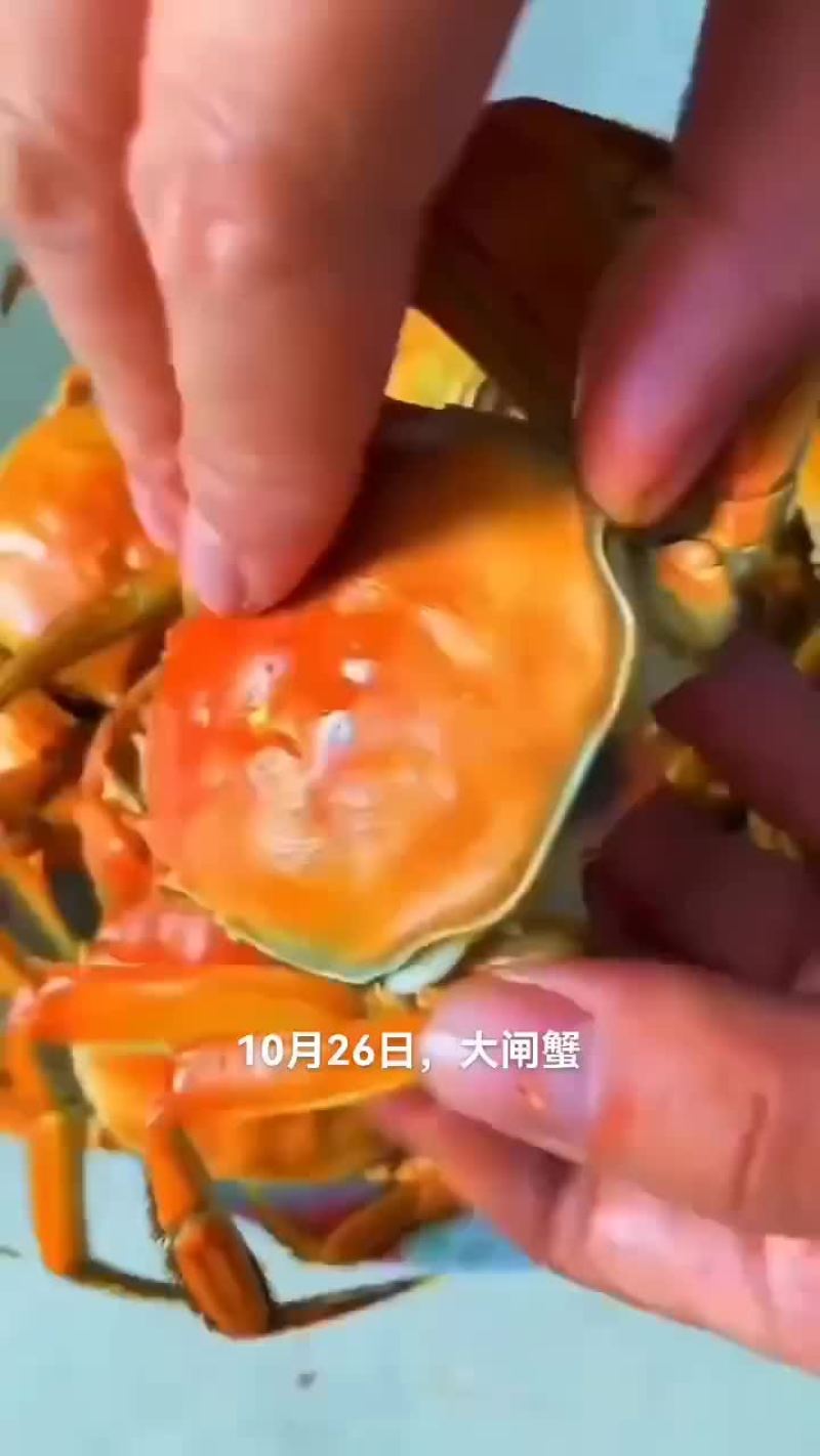 大闸蟹