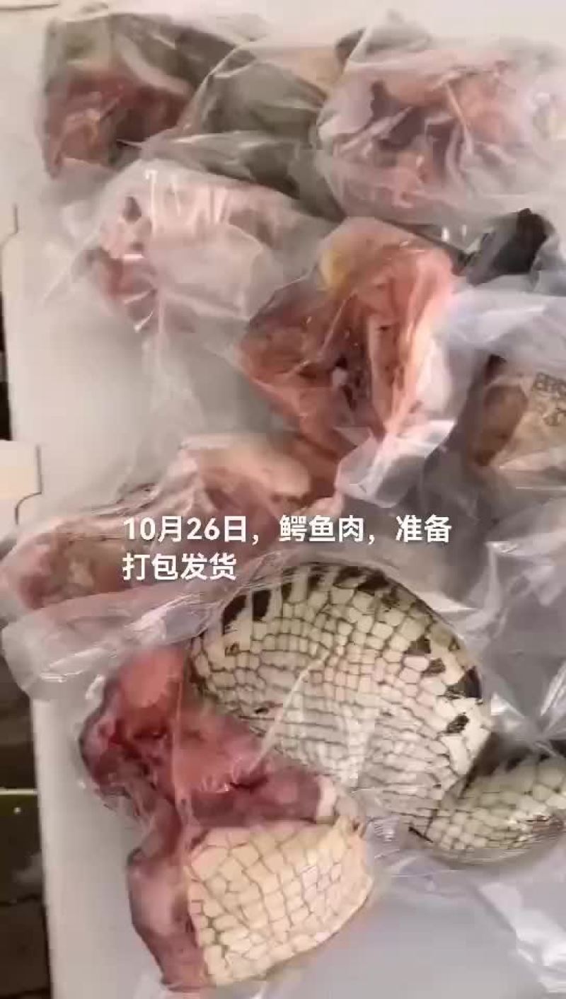 鳄鱼肉
