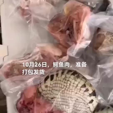 鳄鱼肉