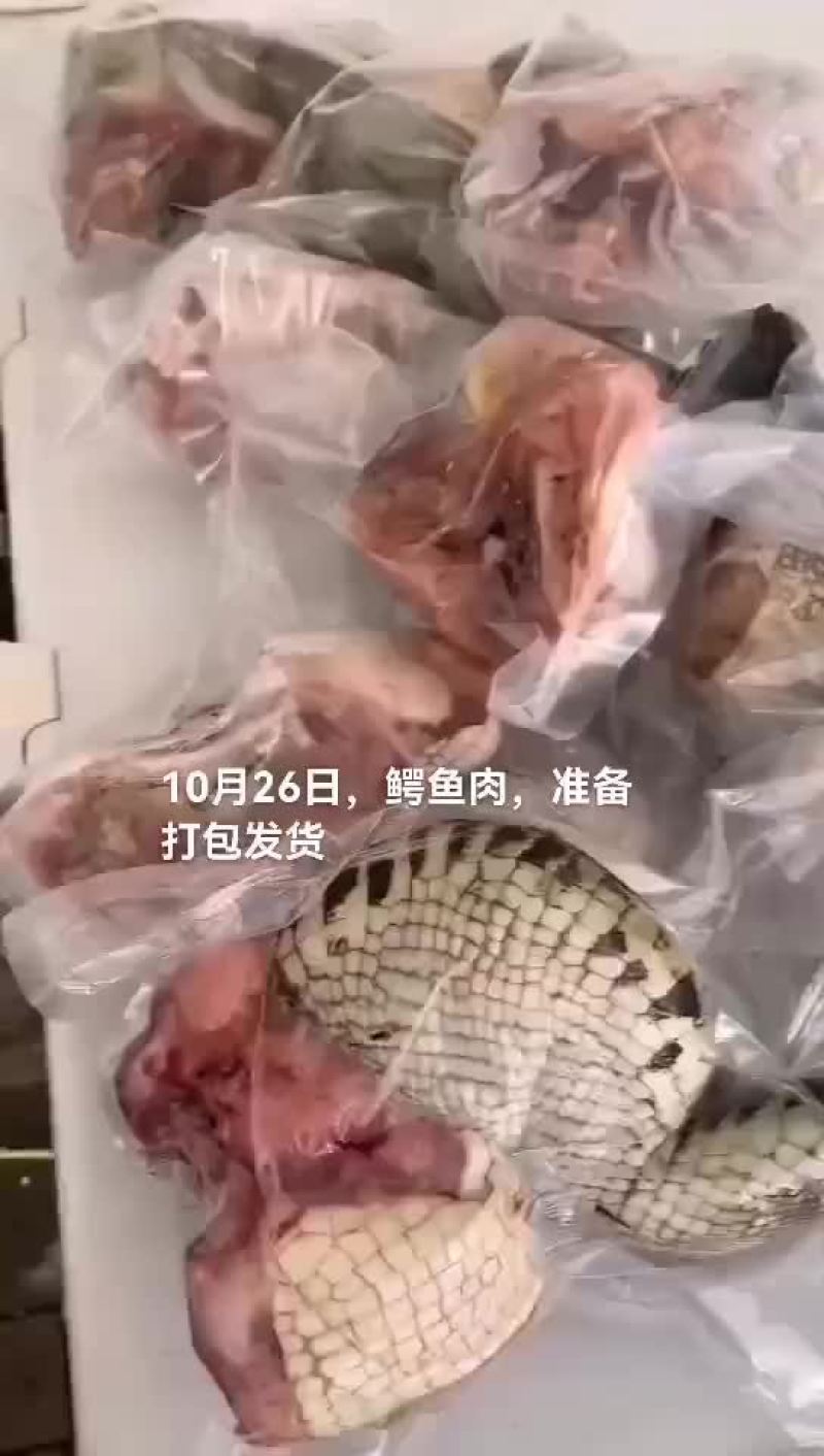 鳄鱼肉