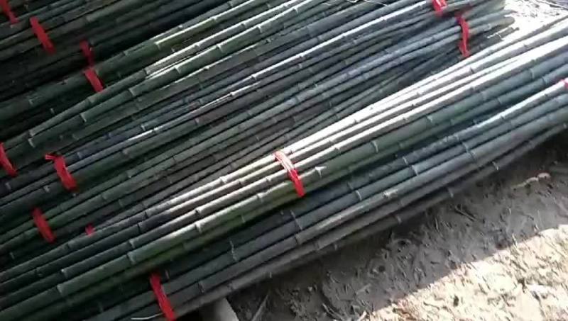西瓜棚竹竿