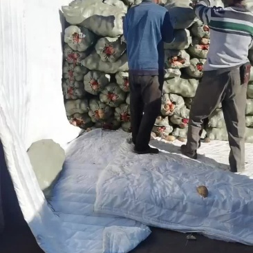 黄皮黄心颜色好，薯型好，个头大，希森六土豆