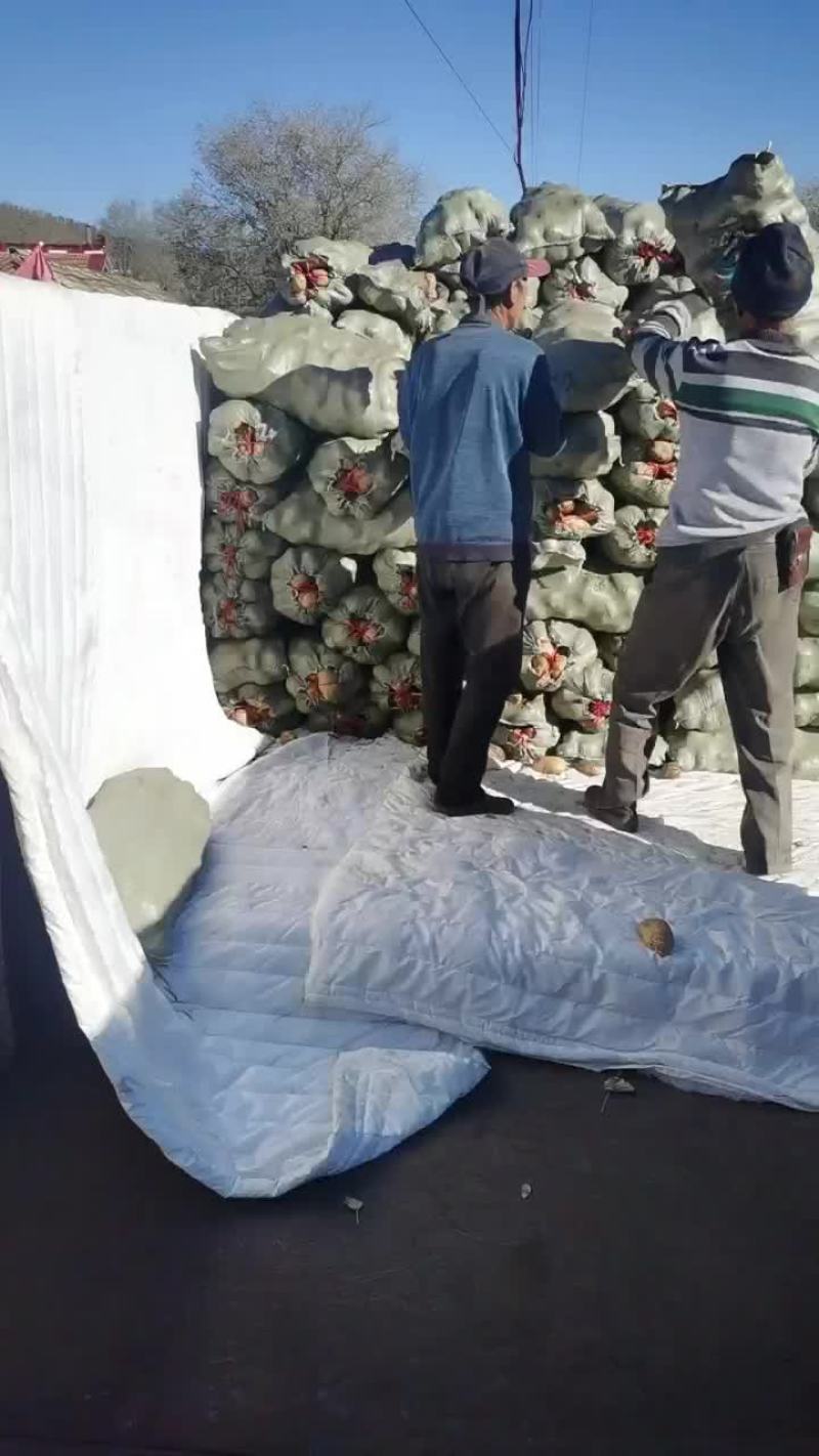 黄皮黄心颜色好，薯型好，个头大，希森六土豆