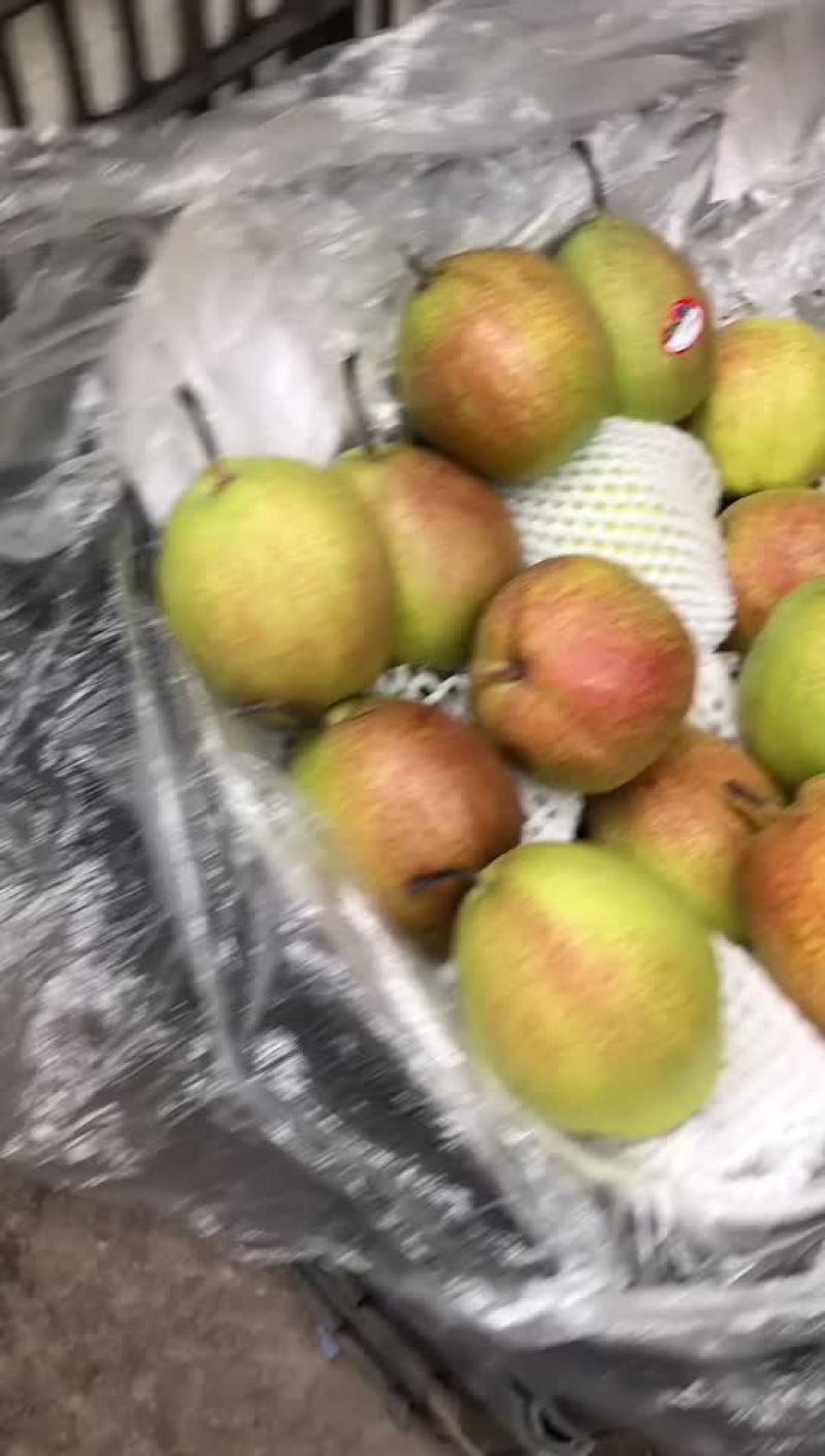 新梨七号，大量现货供应，电商，零售，批发均可！口敢好，价