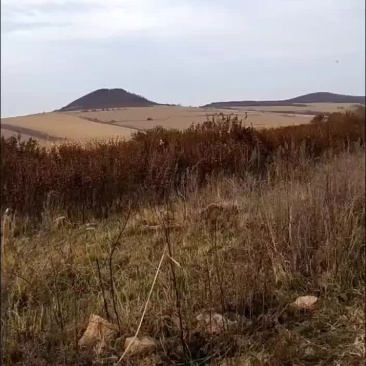 农田出租带差价补种植者补贴和轮作补贴8500-11000
