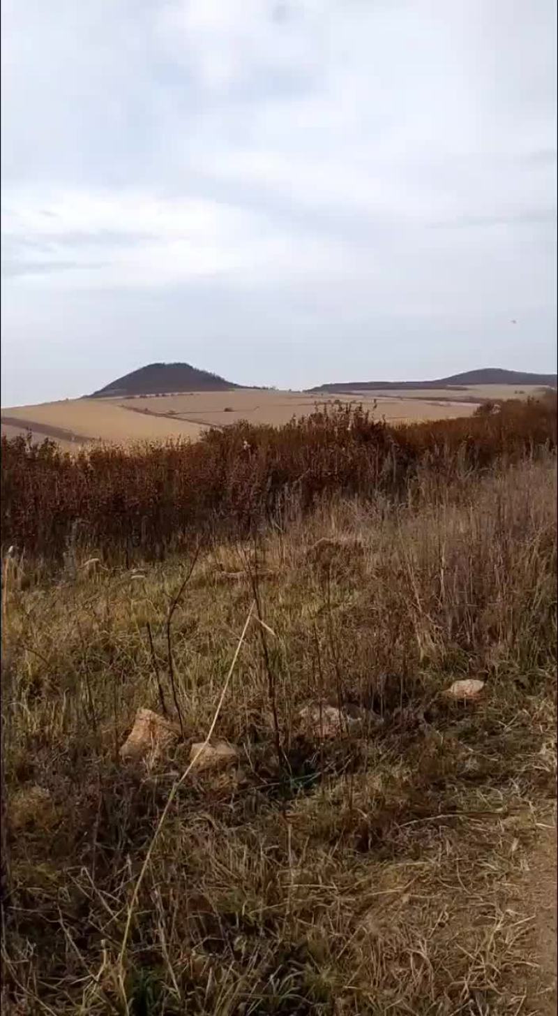 农田出租带差价补种植者补贴和轮作补贴8500-11000