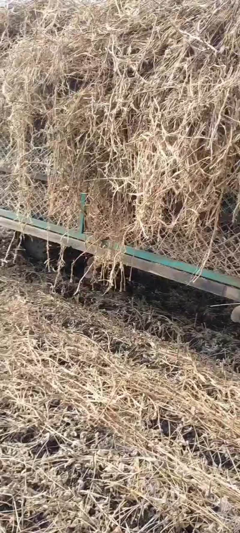 农田出租带差价补种植者补贴和轮作补贴8500-11000