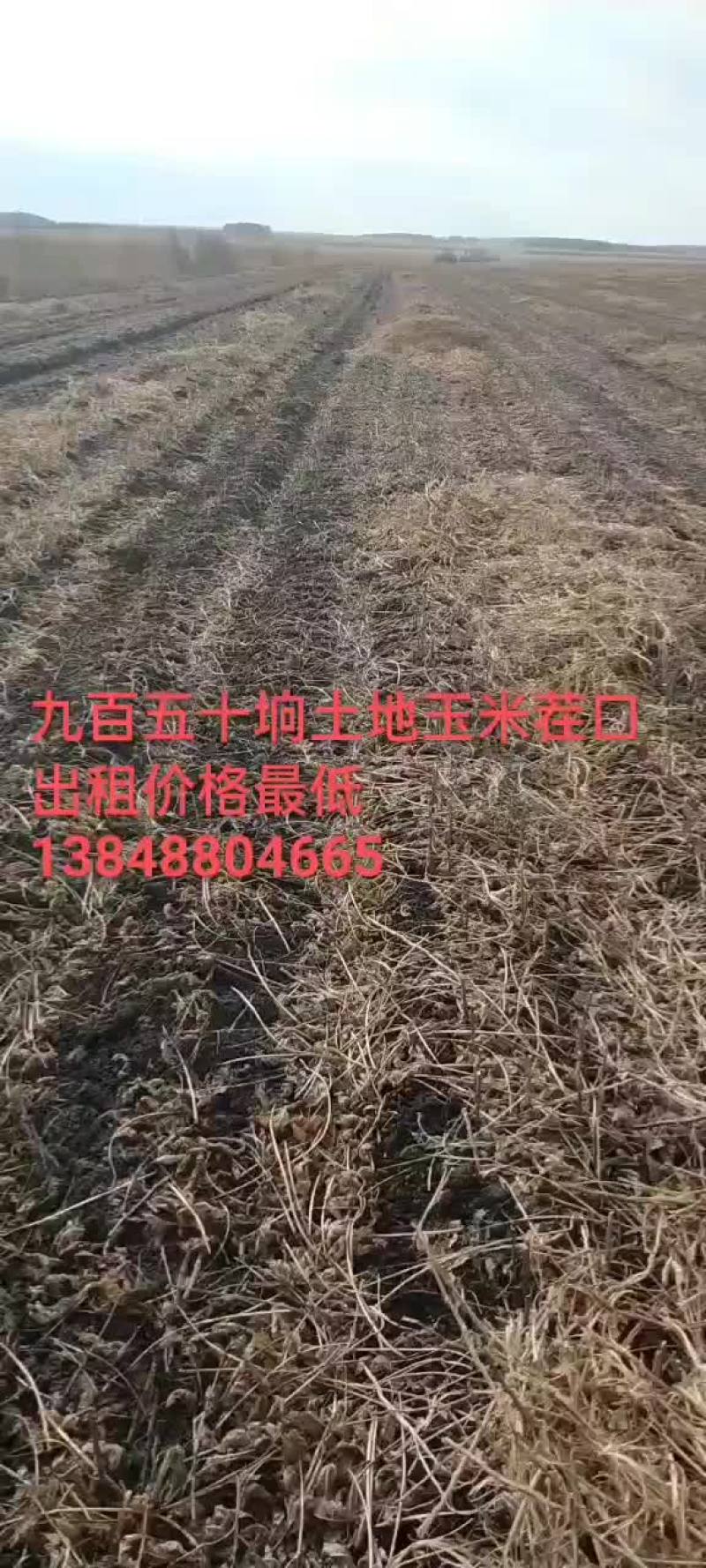 农田出租带差价补种植者补贴和轮作补贴8500-11000