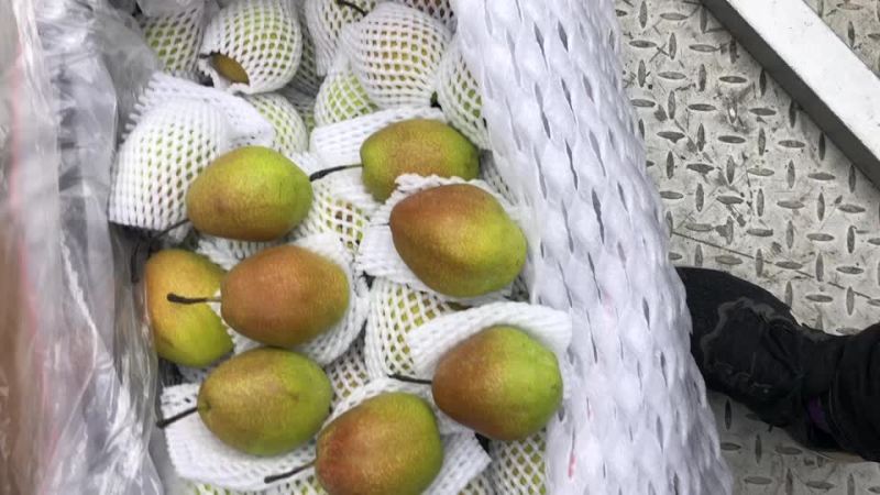 红香酥梨🍐海量货源，价格便宜，电商零售批发均可
