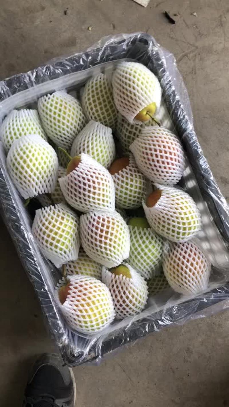 红香酥梨🍐海量货源，价格便宜，电商零售批发均可