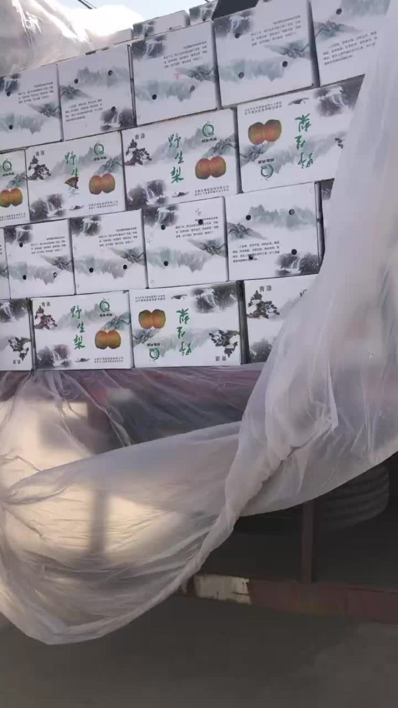 玉露香梨🍐海量货源，价格便宜，质量好，批发零售电商