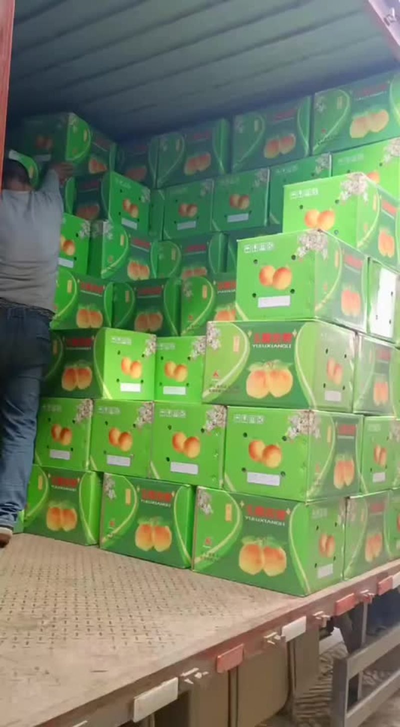 玉露香梨🍐海量货源，价格便宜，质量好，批发零售电商