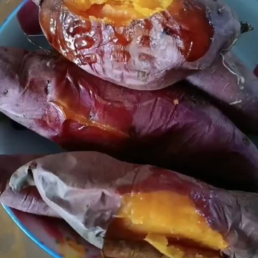 烟薯