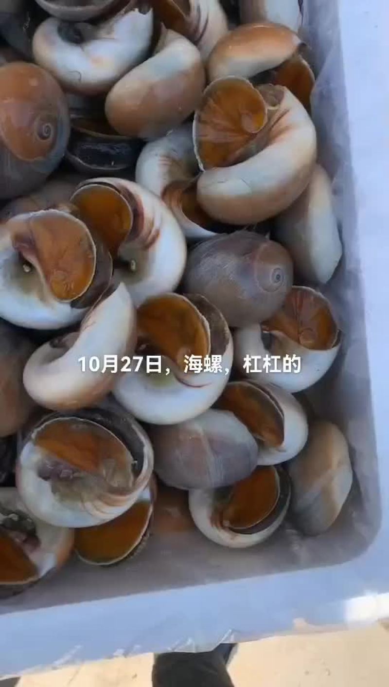 香螺