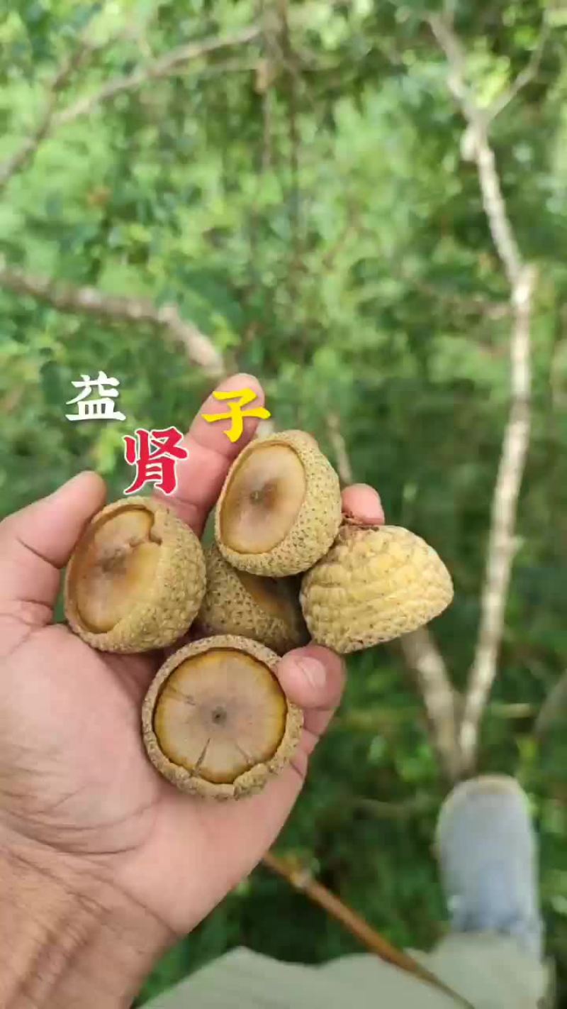 浮过水，后期足干够老果现售中，当季30吨以上