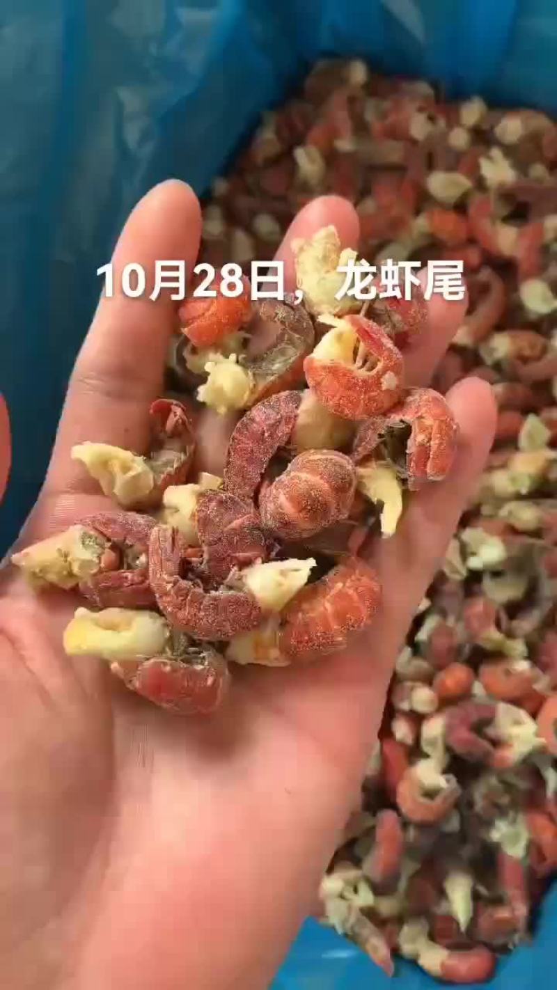 龙虾尾