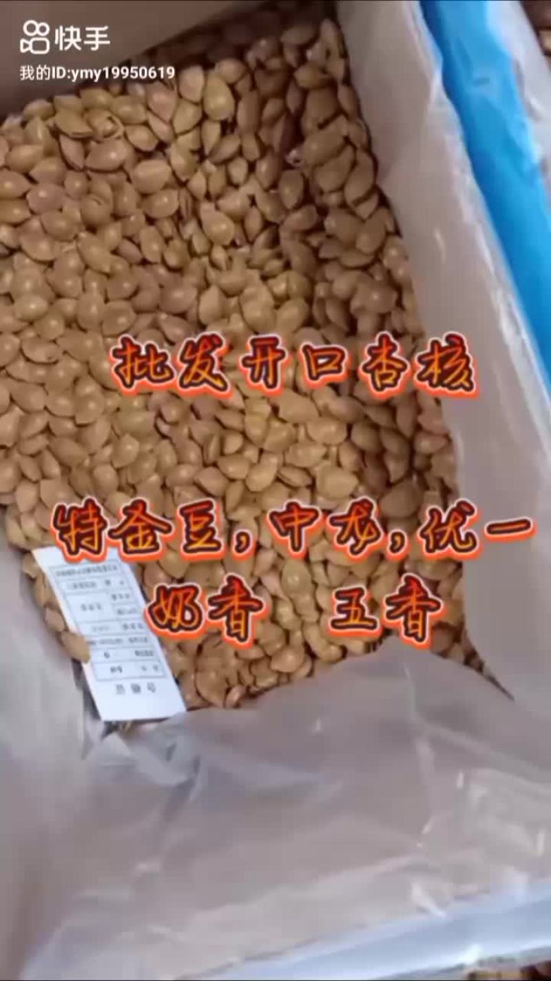 开口杏核，杏仁