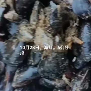 海虹