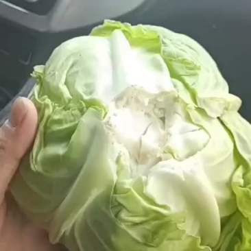 万亩甘蓝基地直供，个头均云，色泽鲜艳，有专业打包团队。