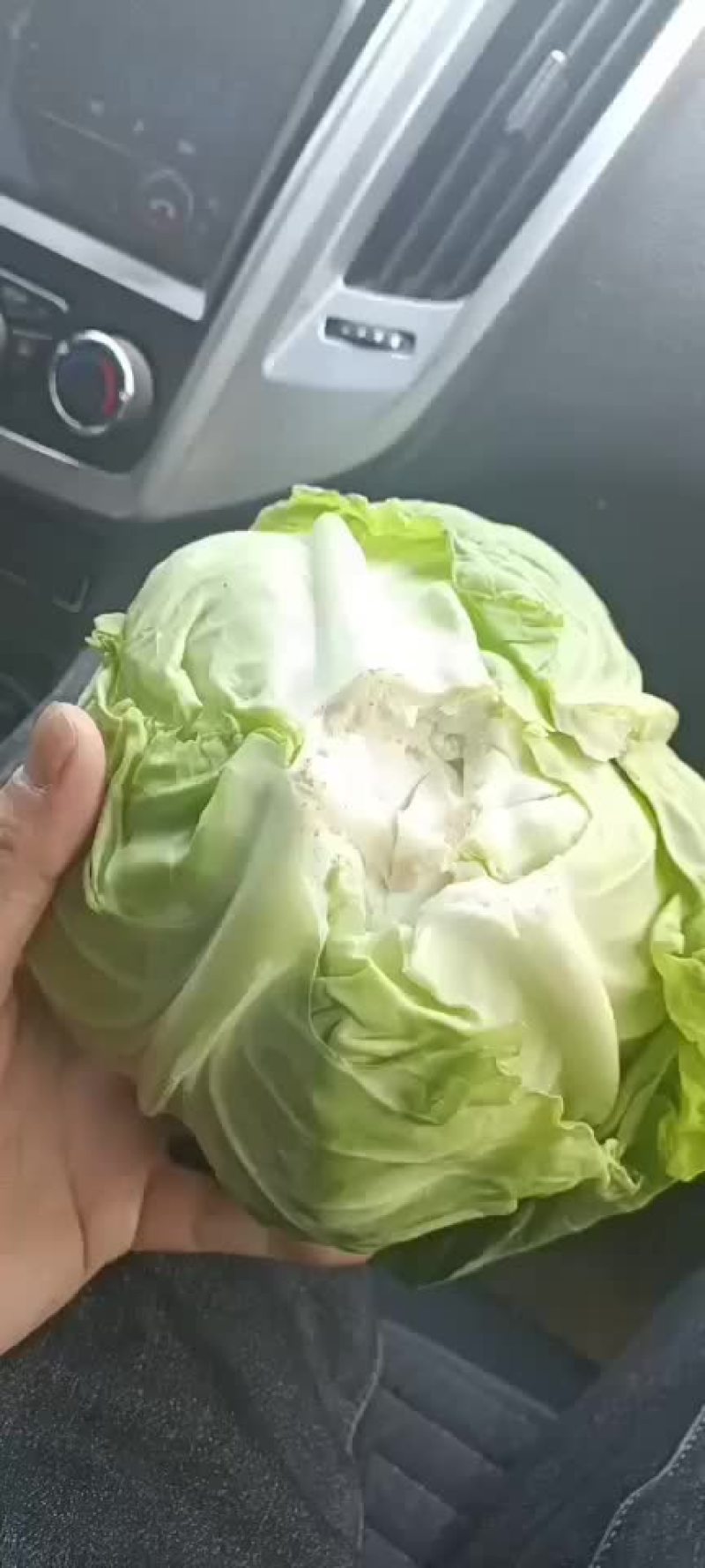 万亩甘蓝基地直供，个头均云，色泽鲜艳，有专业打包团队。