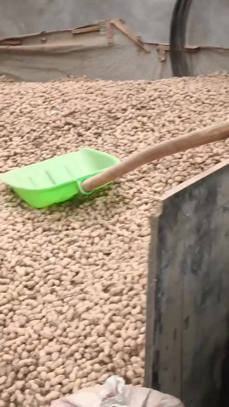 花生
