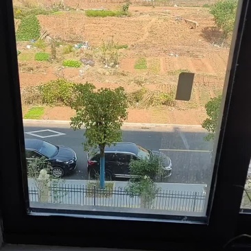 草鱼