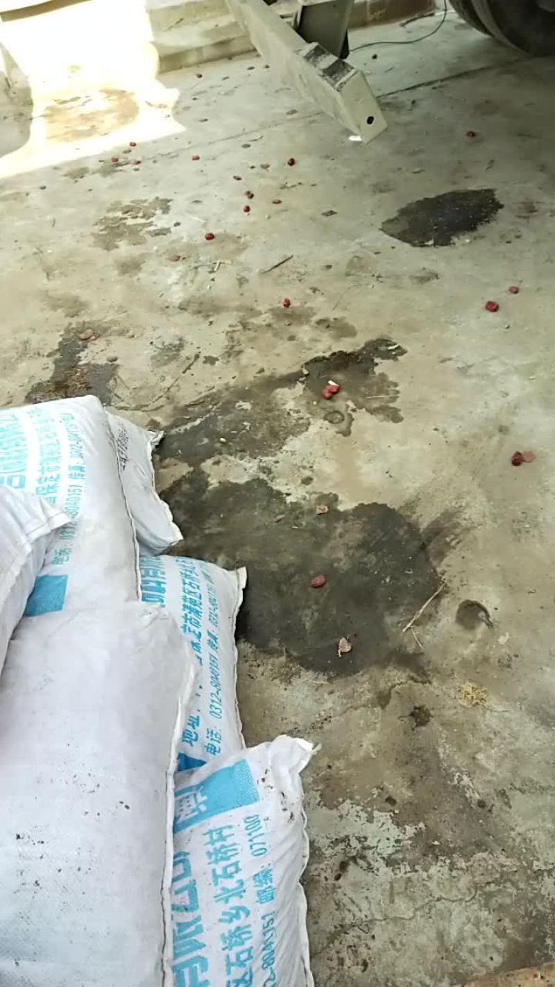 红枣通货，饲料用枣，酒厂，药厂专用，