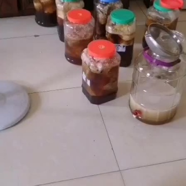 蜂蜜
