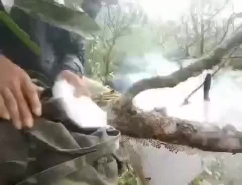 蜂蜜