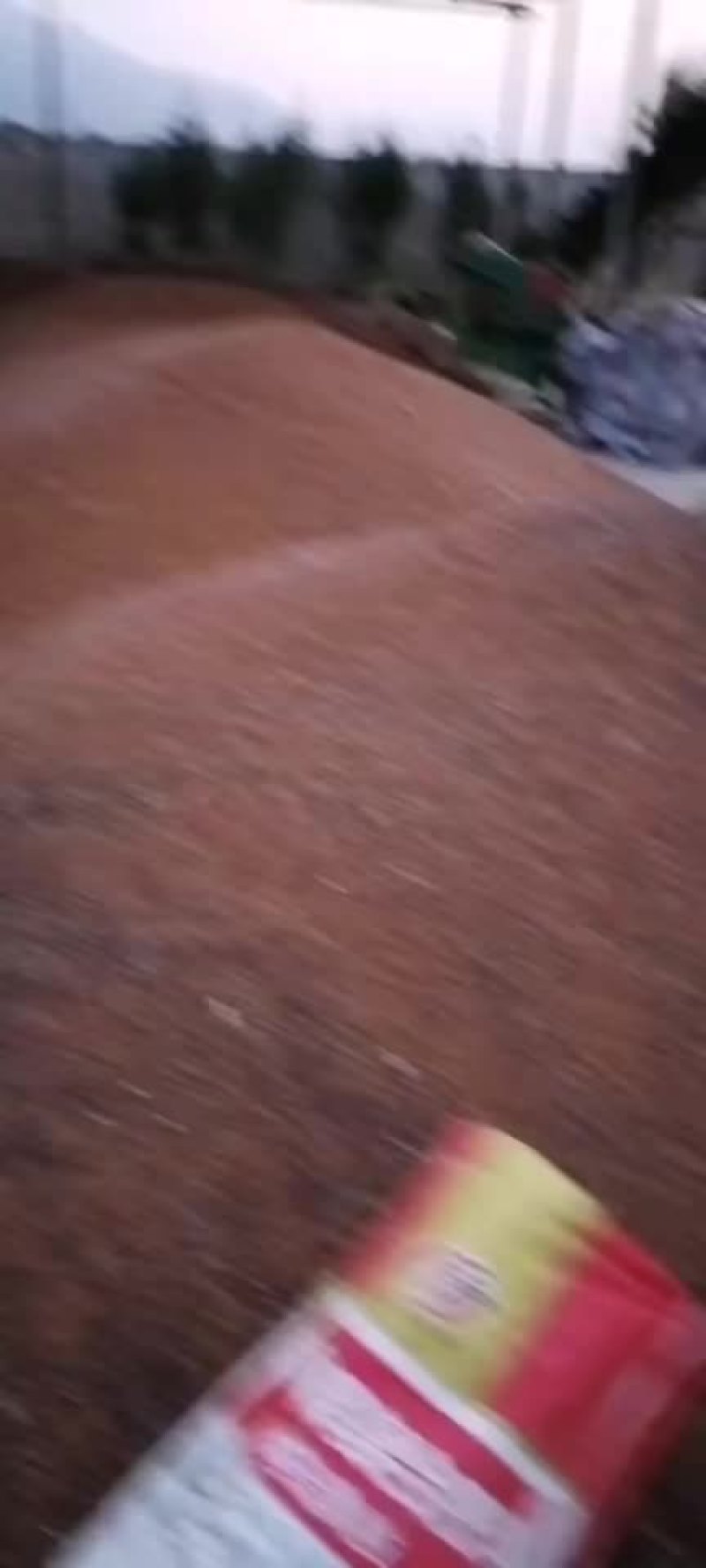 （精品）高粱大量上市需要的联系，欢迎各大小酒厂前来选购