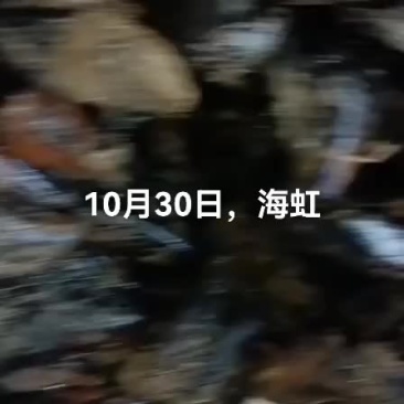 海虹