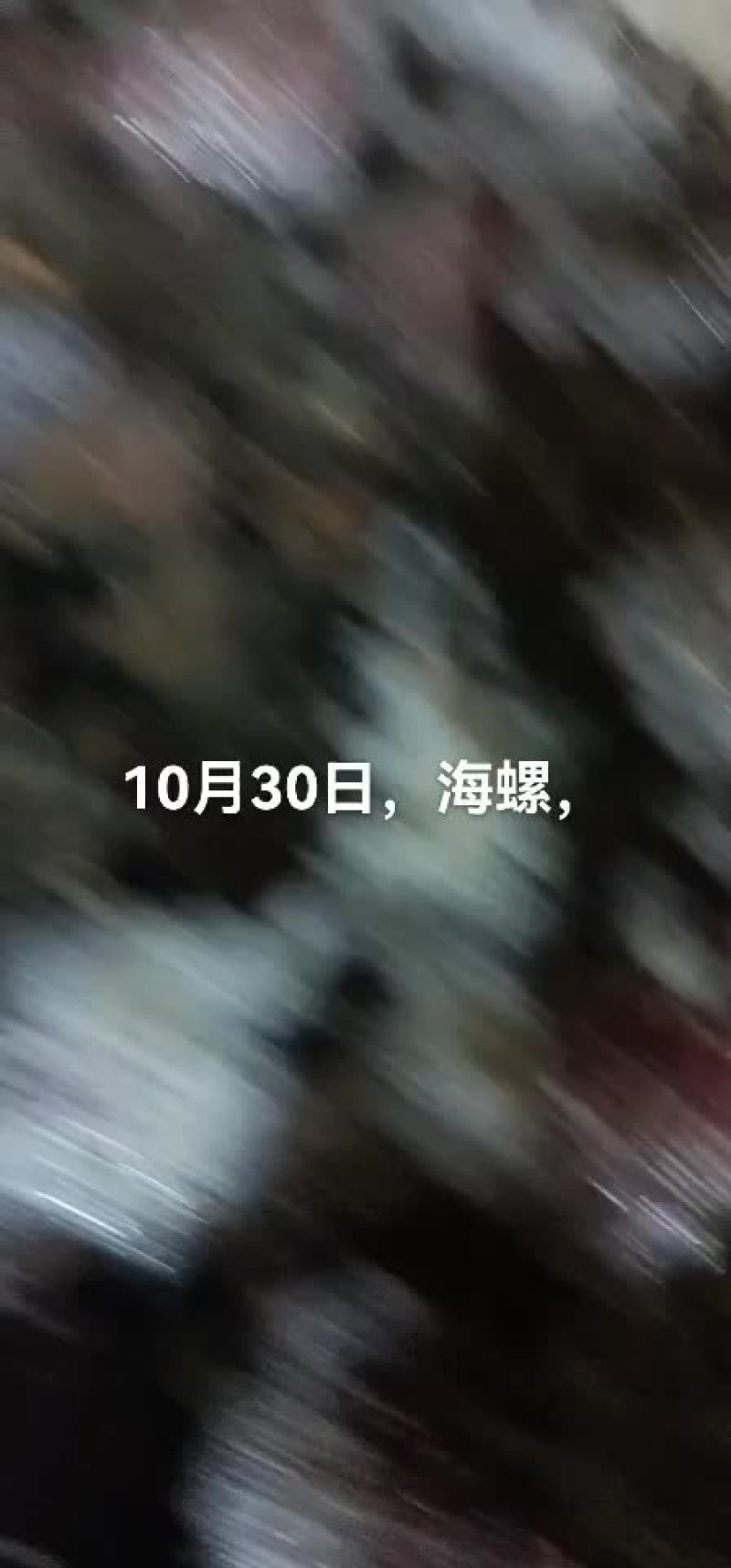 海螺